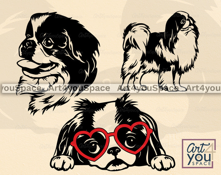 Japanese Chin SVG
