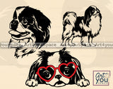 Japanese Chin SVG