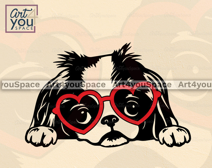 Japanese Chin PNG