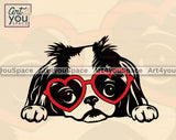 Japanese Chin PNG