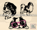 Japanese Chin Vector