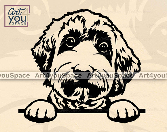 labradoodle peeking svg