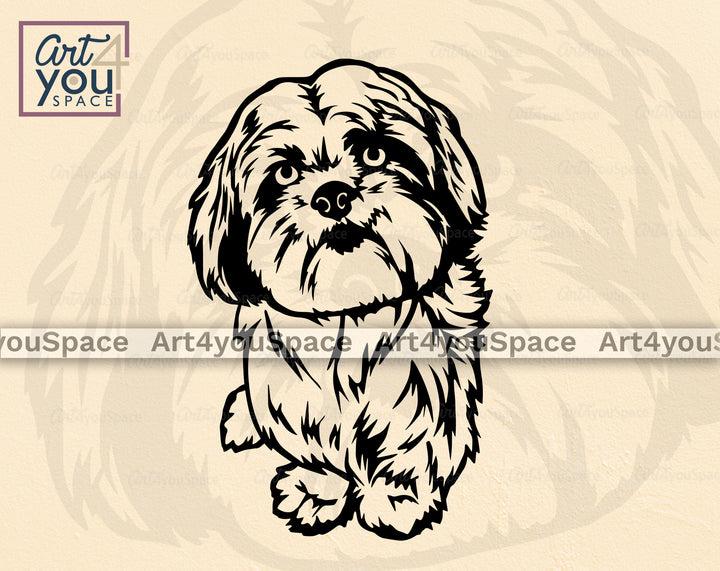 Lhasa Apso Vector