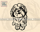 Lhasa Apso Vector