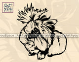  Lion Head Rabbit PNG