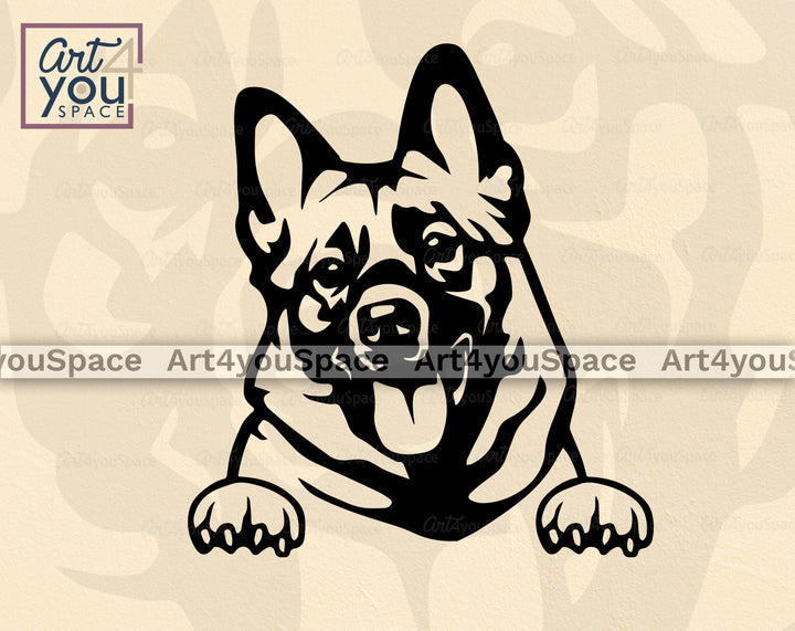 Norwegian Elkhound vector