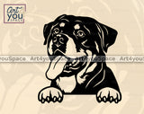 Rottweiler Vector