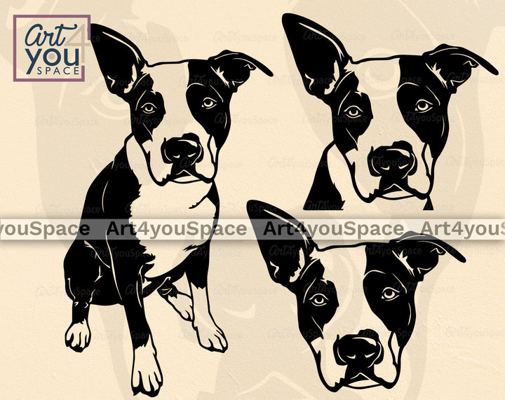 American Staffordshire Terrier SVG