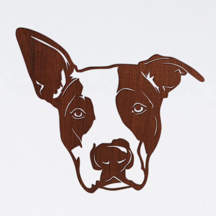 American Staffordshire Terrier DXF