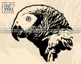 African Grey Parrot SVG