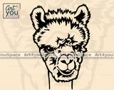 Lama Clipart