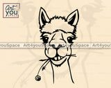 Funny Alpaca  Cricut