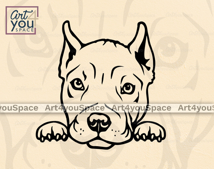 American_Bully_clipart