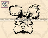 Angora Rabbit Art
