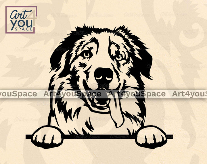 Australian Shepherd peeking dog svg