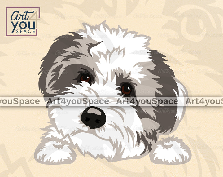 Aussiedoodle Art