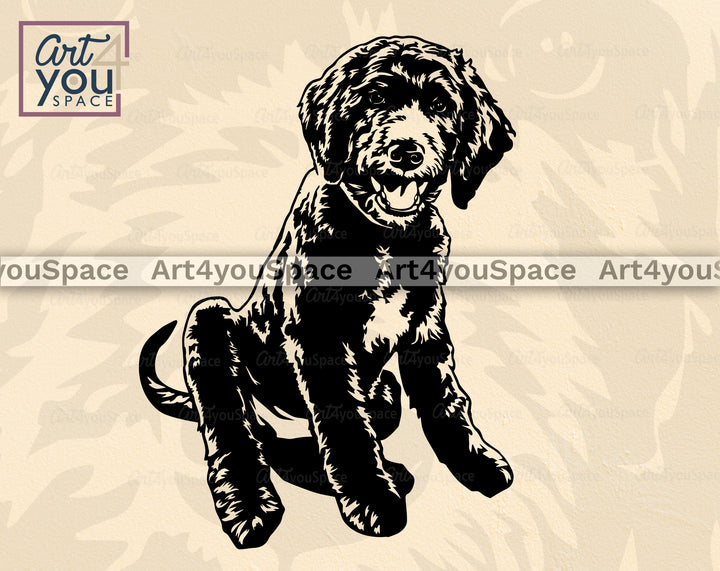 Aussiedoodle Art