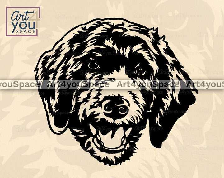 Aussiedoodle Vector