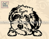 Aussiedoodle PNG