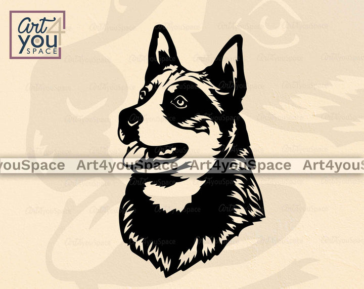 australian cattle dog vector portrait