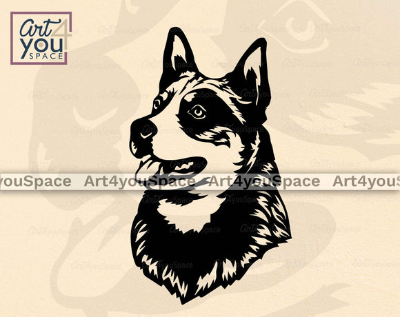 australian cattle dog vector portrait