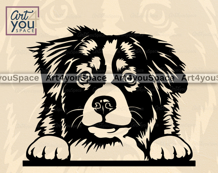 Australian Shepherd PNG