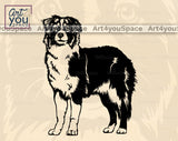 Australian Shepherd Vector