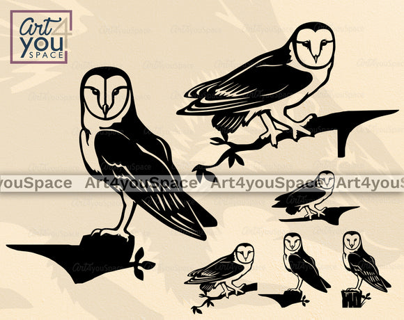 Barn Owl  SVG