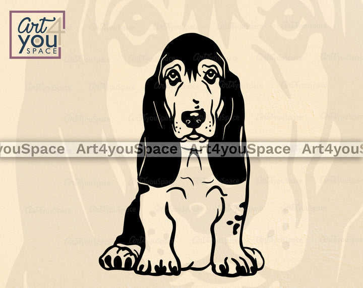 Basset Hound PNG