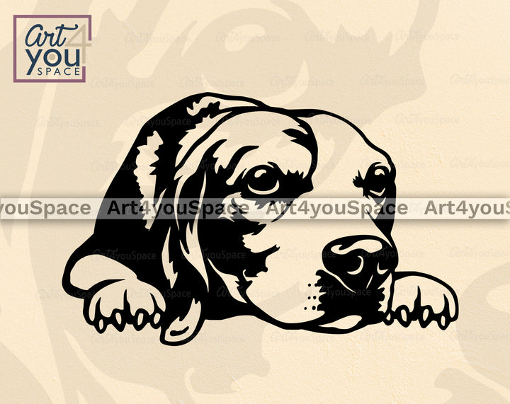 Beagle Vector