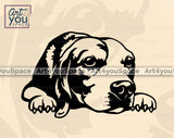 Beagle Vector