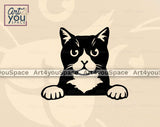 black and white cat peeking svg