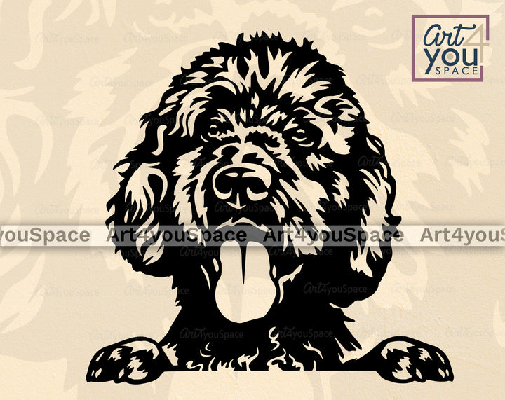 Black Labradoodle Art