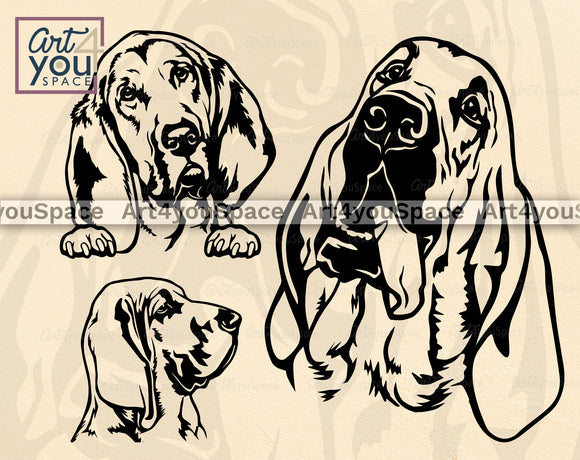 Bloodhound SVG