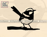 blue wren bird black and white clipart