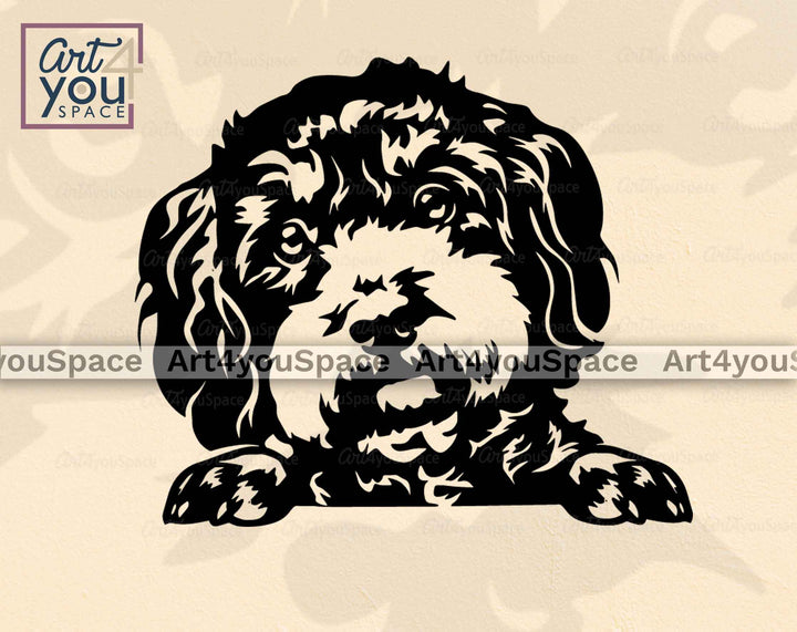 bolonka head with paws black and white vector