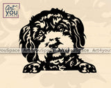 bolonka head with paws black and white vector