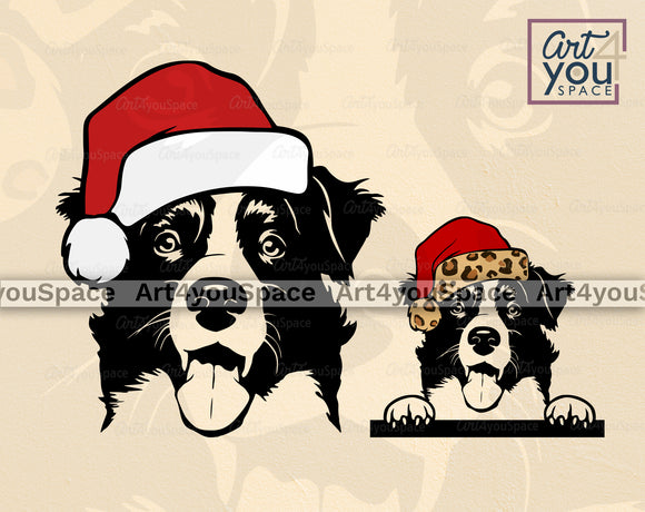 Border Collie dog with Christmas hat svg