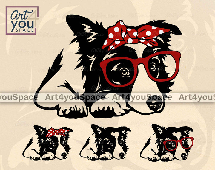 Border Collie SVG File