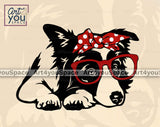 cute Border Collie with bandana and glasses svg