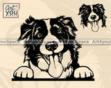 border_collie_svg
