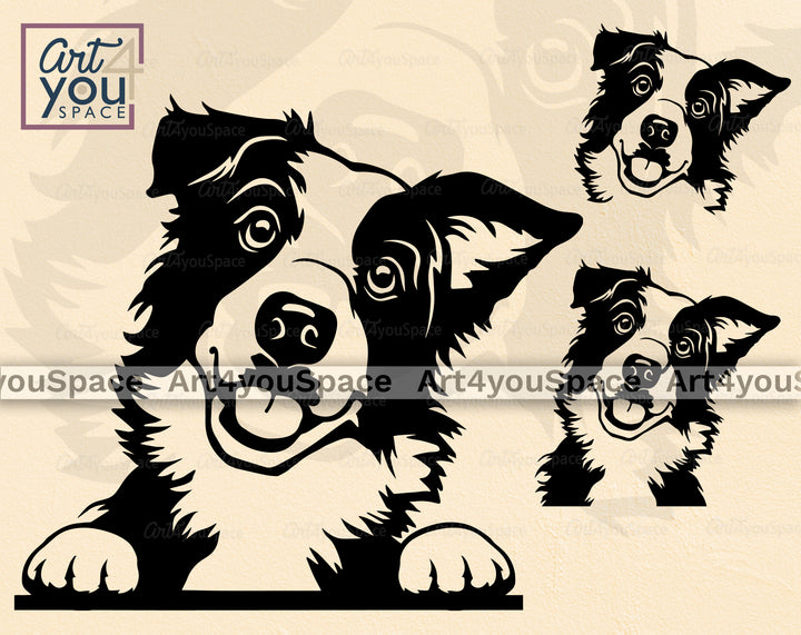 Border Collie SVG