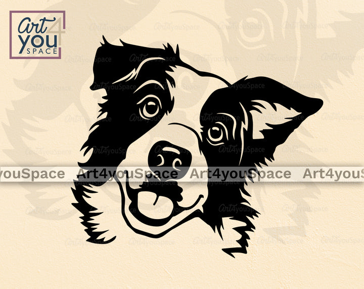 Border Collie PNG