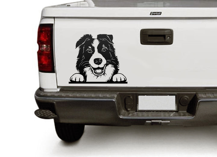 Border Collie Cricut