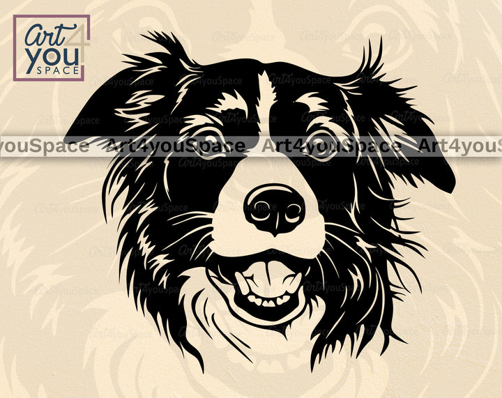 Border Collie PNG