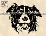 Border Collie PNG