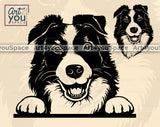 Border Collie DXF