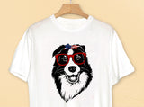 border_collie_png