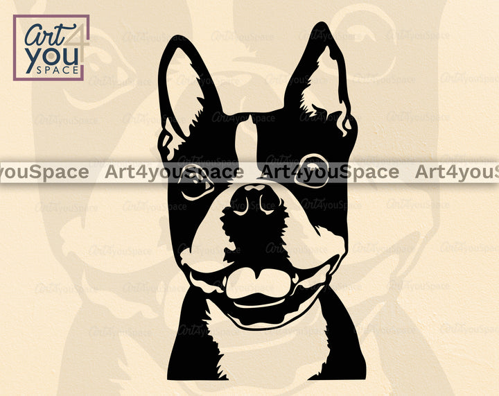 Boston Terrier PNG