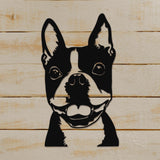 Boston Terrier DXF